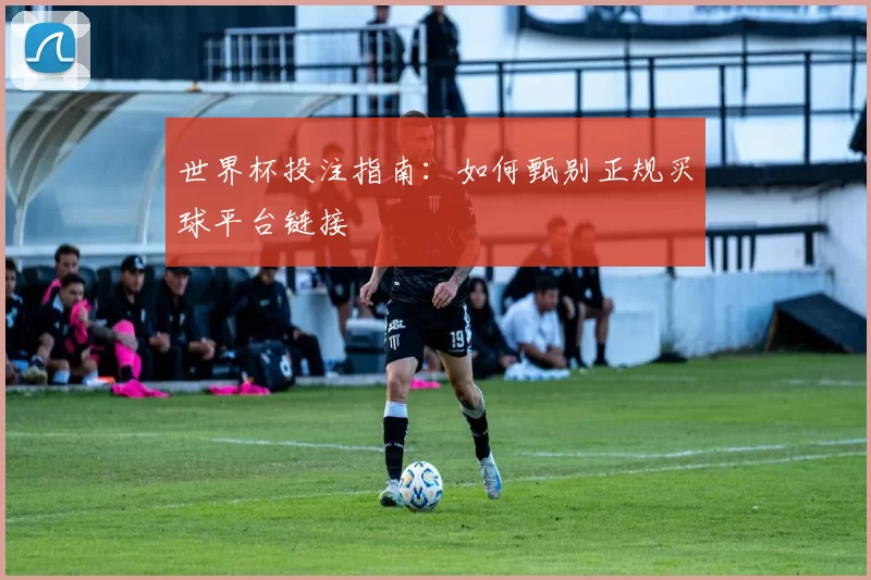 世界杯投注指南：如何甄别正规买球平台链接