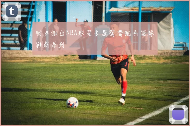 耐克推出NBA球星专属鸳鸯配色篮球鞋新系列