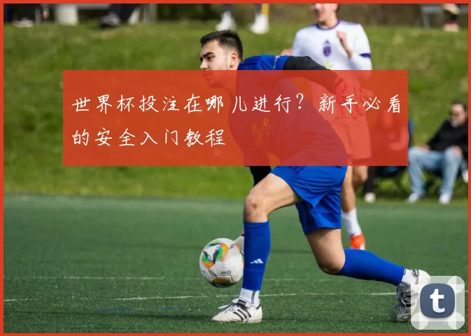 世界杯投注在哪儿进行?新手必看的安全入门教程