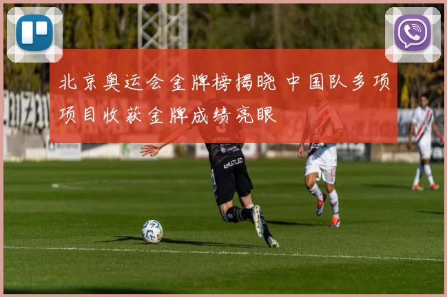 北京奥运会金牌榜揭晓 中国队多项项目收获金牌成绩亮眼