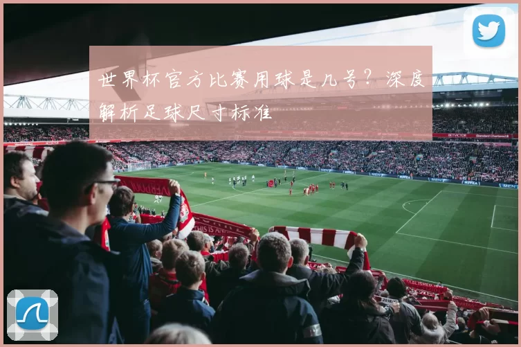 世界杯官方比赛用球是几号？深度解析足球尺寸标准