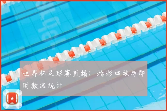 世界杯足球赛直播：精彩回放与即时数据统计