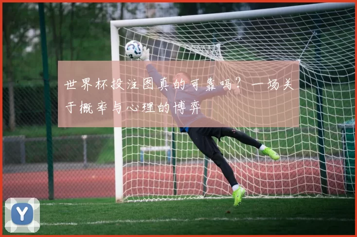 世界杯投注图真的可靠吗?一场关于概率与心理的博弈