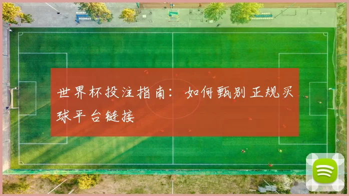 世界杯投注指南：如何甄别正规买球平台链接