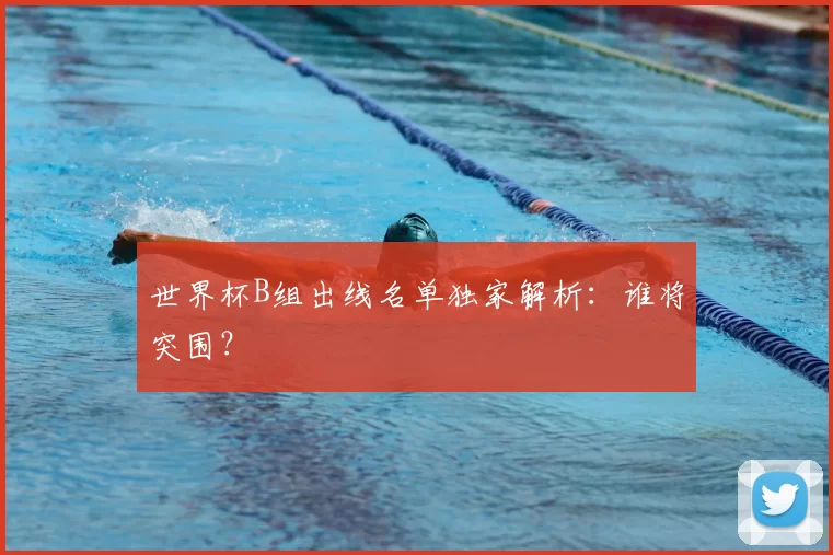 世界杯B组出线名单独家解析：谁将突围？