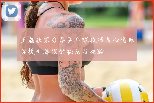 王磊独家分享乒乓球技巧与心得助你提升球技的秘诀与经验