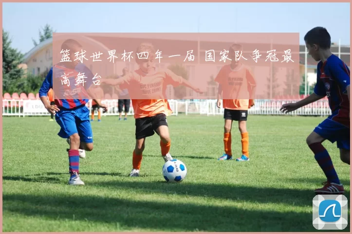 篮球世界杯四年一届 国家队争冠最高舞台