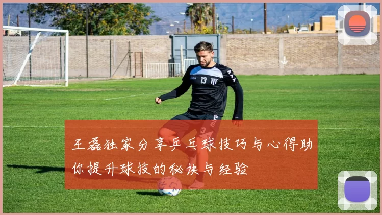 王磊独家分享乒乓球技巧与心得助你提升球技的秘诀与经验