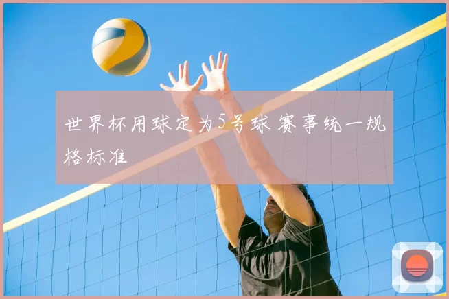 世界杯用球定为5号球 赛事统一规格标准