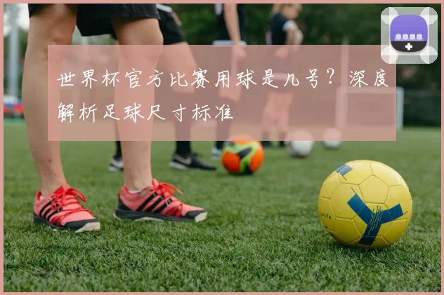 世界杯官方比赛用球是几号?深度解析足球尺寸标准