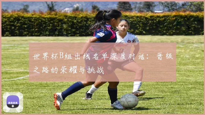 世界杯B组出线名单深度对话:晋级之路的荣耀与挑战