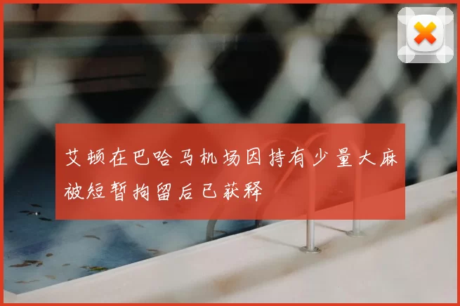 艾顿在巴哈马机场因持有少量大麻被短暂拘留后已获释