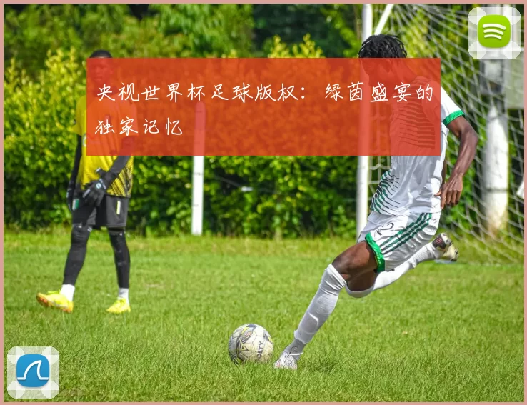 央视世界杯足球版权：绿茵盛宴的独家记忆