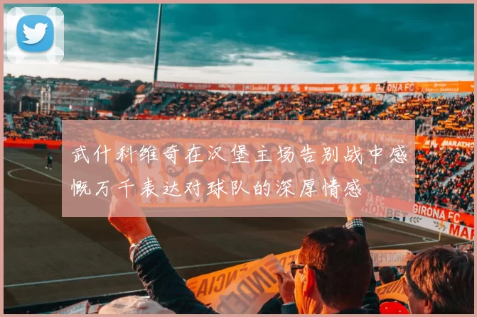 武什科维奇在汉堡主场告别战中感慨万千表达对球队的深厚情感