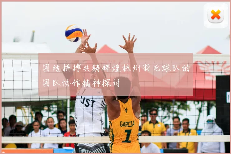 团结拼搏共铸辉煌杭州羽毛球队的团队协作精神探讨