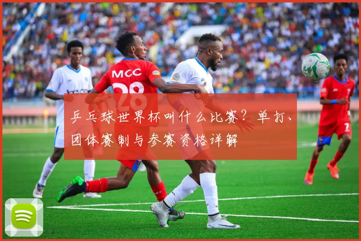 乒乓球世界杯叫什么比赛？单打、团体赛制与参赛资格详解